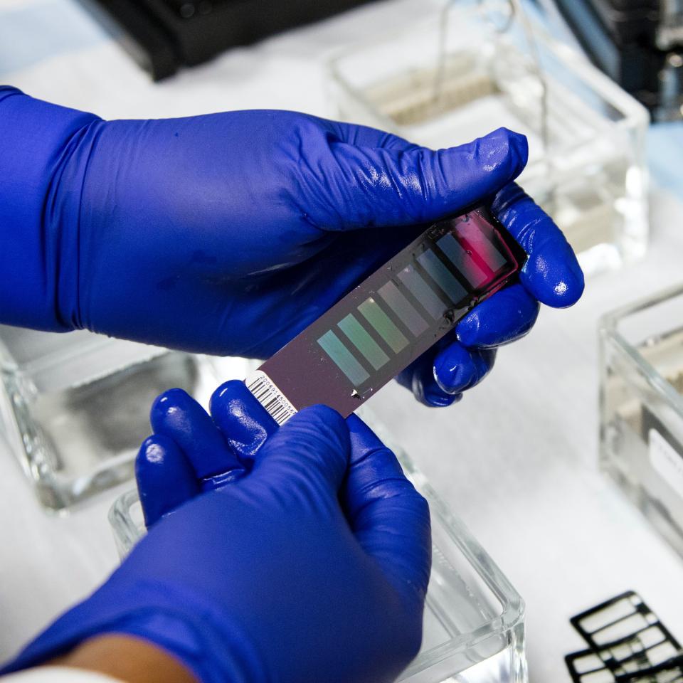 Close up shot of hands in blue gloves holding lab equipment