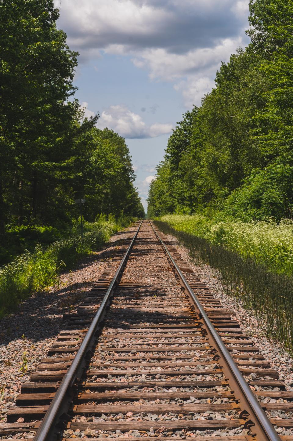 railway track lined with trees