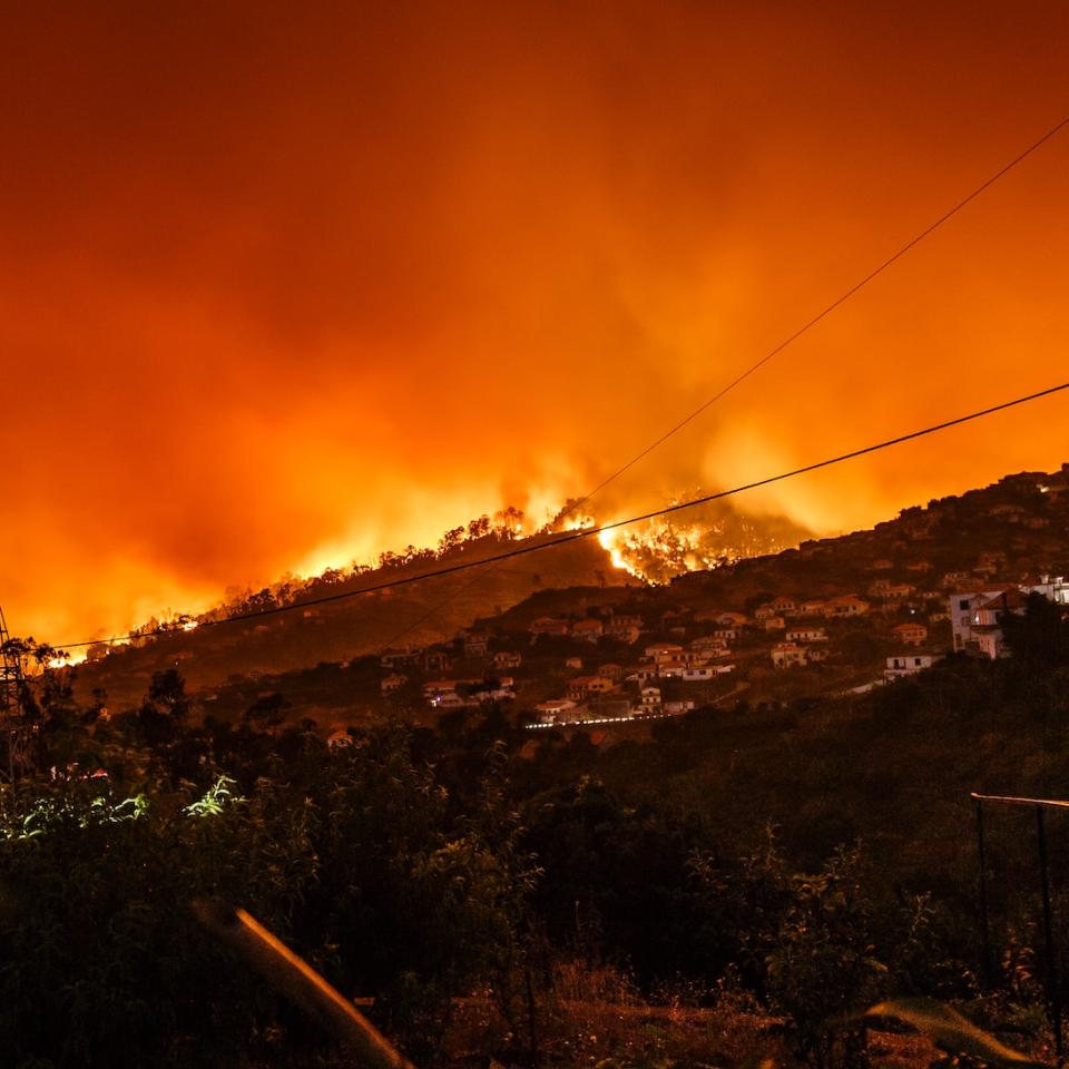 A fire on a hillside at night