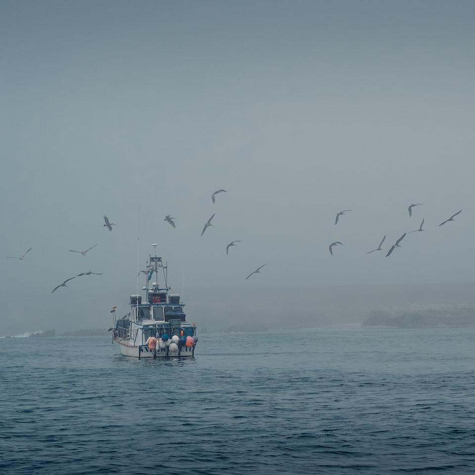 A fishing boat on the sea