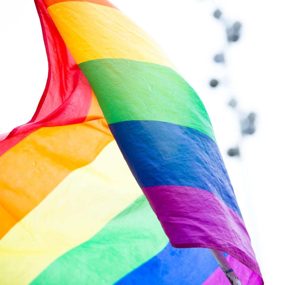 Rainbow flag against a white sky