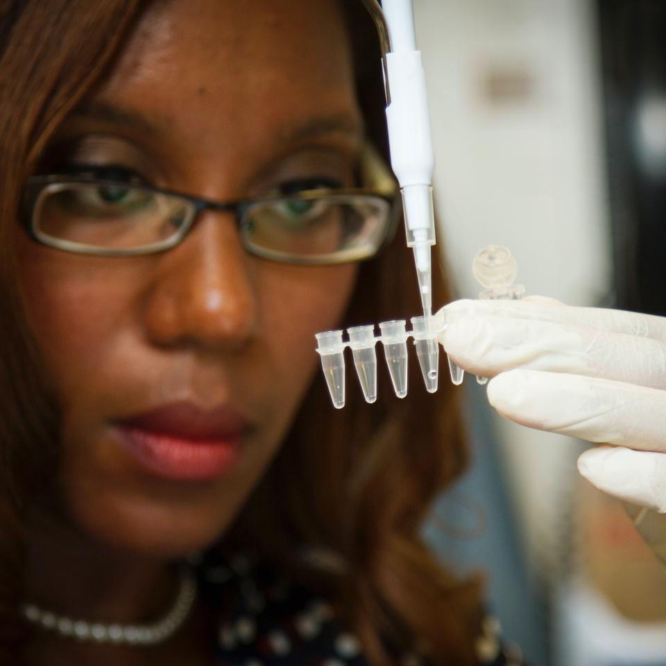 Female scientist filling up pipettes with clear liquid