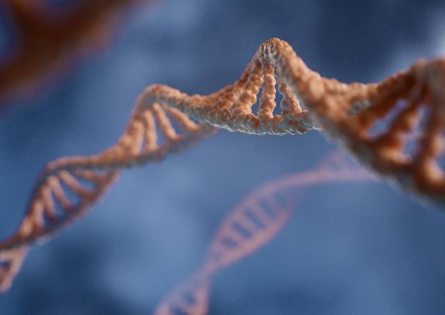  3D rendering capturing the double helix structure of DNA against a blue backdrop